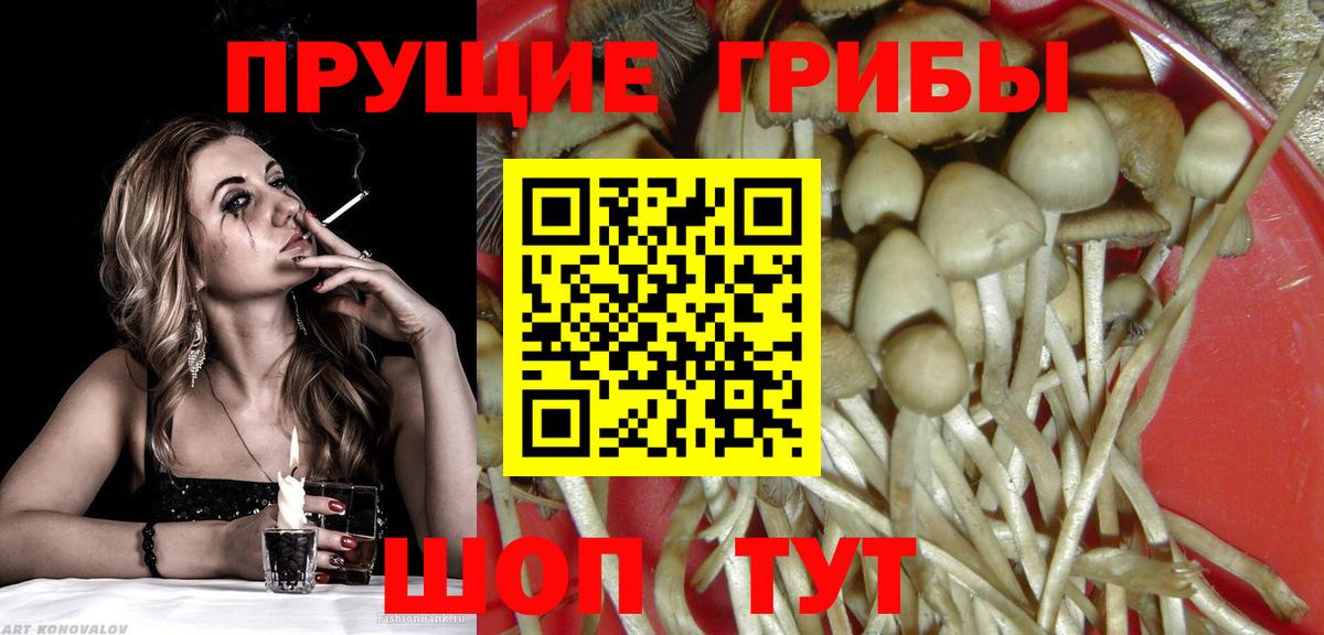 магазин продажи   Вход с VPN  Кизляр  Галлюциногенные грибы прущие грибы 